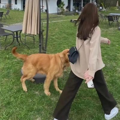 丝结之谜